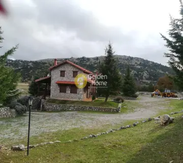 Golden Home Property Image