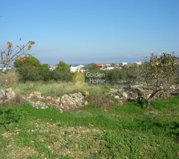 Residential 3087m<sup>2</sup> for sale photo 4