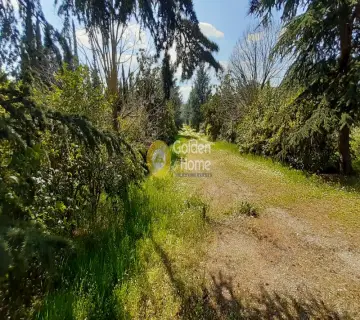 Professional Plot 26000m<sup>2</sup> for sale photo 20