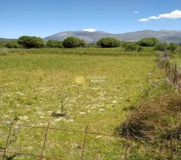 Οικιστικό 1730τ.μ. προς πώληση φωτογραφία 4