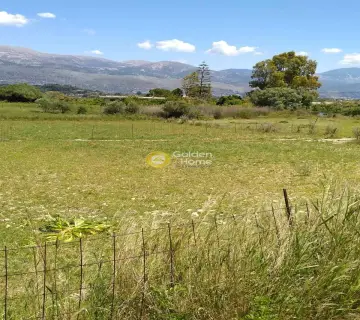 Οικιστικό 1730τ.μ. προς πώληση φωτογραφία 17