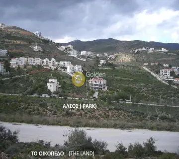 Golden Home Property Image