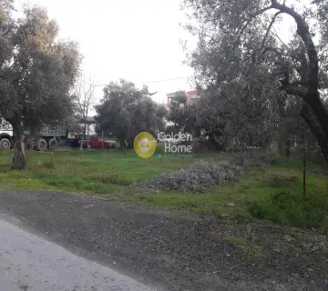 住宅 430m<sup>2</sup> for sale photo 3
