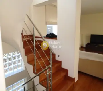 Μονοκατοικία 334τ.μ. προς πώληση φωτογραφία 19