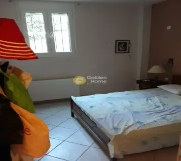 Μονοκατοικία 268τ.μ. προς πώληση φωτογραφία 42