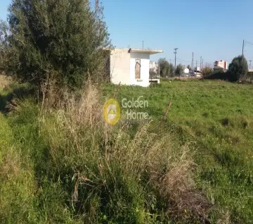 住宅 2394m<sup>2</sup> for sale photo 9