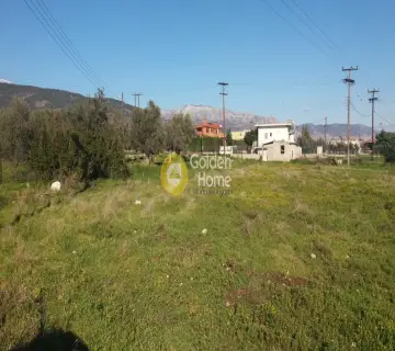 Golden Home Property Image