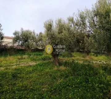 Residential 2500m<sup>2</sup> for sale photo 2014282