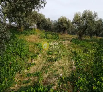 Residential 2500m<sup>2</sup> for sale photo 2014308