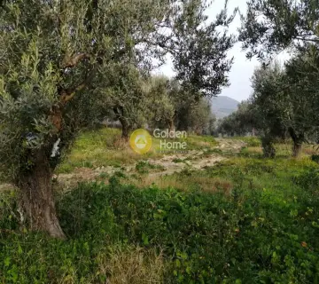 Residential 2500m<sup>2</sup> for sale photo 2014309