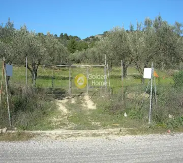 Parcel 2664m<sup>2</sup> for sale photo 9