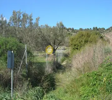 Parcel 2664m<sup>2</sup> for sale photo 4