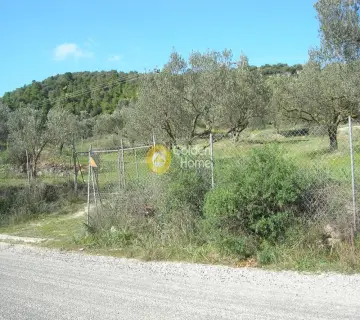 Parcel 2664m<sup>2</sup> for sale photo 5