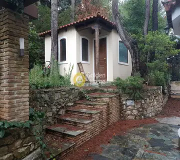 Μονοκατοικία 300τ.μ. προς πώληση φωτογραφία 28