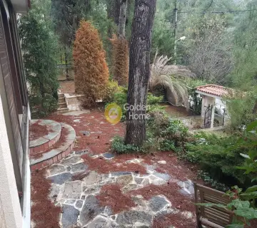 Μονοκατοικία 300τ.μ. προς πώληση φωτογραφία 33