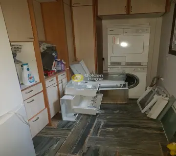 Μονοκατοικία 300τ.μ. προς πώληση φωτογραφία 16