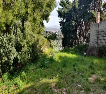 Μονοκατοικία 350τ.μ. προς πώληση φωτογραφία 8