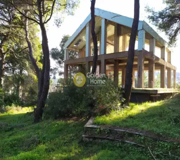 Μονοκατοικία 485τ.μ. προς πώληση φωτογραφία 3
