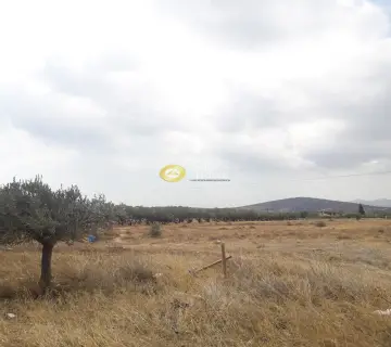 Οικιστικό 1396τ.μ. προς πώληση φωτογραφία 1