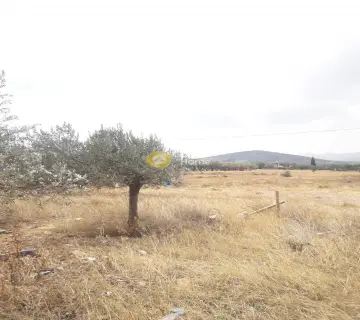 Οικιστικό 1396τ.μ. προς πώληση φωτογραφία 2