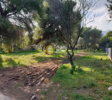 Οικιστικό 1000τ.μ. προς πώληση φωτογραφία 1