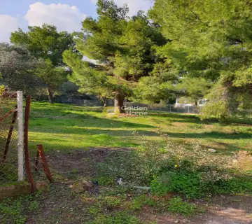 Οικιστικό 1000τ.μ. προς πώληση φωτογραφία 2