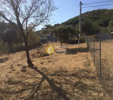 Οικιστικό 351τ.μ. προς πώληση φωτογραφία 3