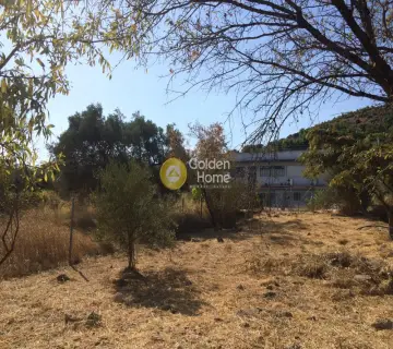 Οικιστικό 351τ.μ. προς πώληση φωτογραφία 4