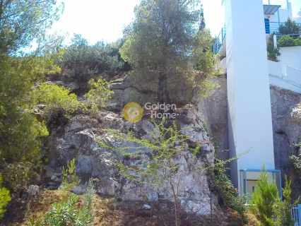 Residential 1043m<sup>2</sup> for sale photo 6
