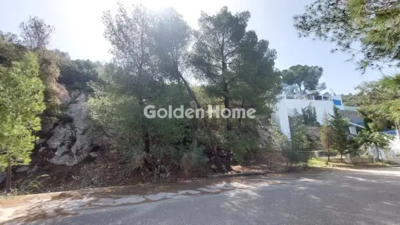 Οικιστικό 1043τ.μ. προς πώληση φωτογραφία 2