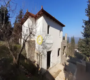 Μεζονέτα Ανεξάρτητη 201τ.μ. προς πώληση φωτογραφία 2