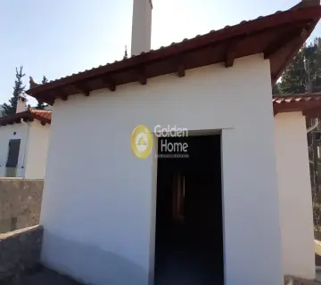 Μεζονέτα Ανεξάρτητη 201τ.μ. προς πώληση φωτογραφία 11