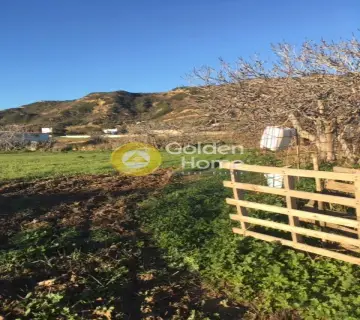 Οικιστικό 913τ.μ. προς πώληση φωτογραφία 2018794