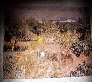 Residential 4001m<sup>2</sup> for sale photo 17