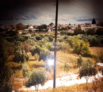 Residential 4001m<sup>2</sup> for sale photo 19