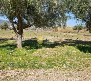 Residential 1500m<sup>2</sup> for sale photo 3
