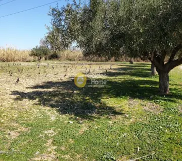 Residential 1500m<sup>2</sup> for sale photo 8