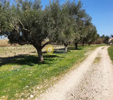 Residential 1500m<sup>2</sup> for sale photo 7