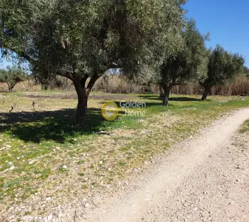 Residential 1500m<sup>2</sup> for sale photo 5