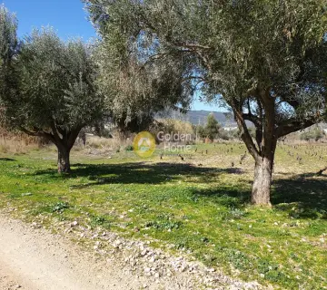 Residential 1500m<sup>2</sup> for sale photo 6