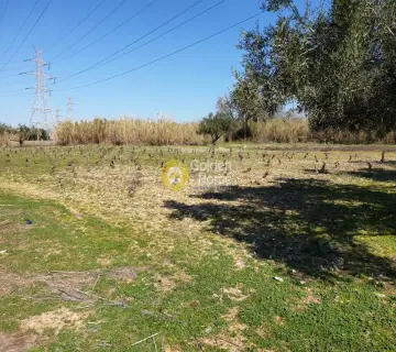 Residential 1500m<sup>2</sup> for sale photo 9