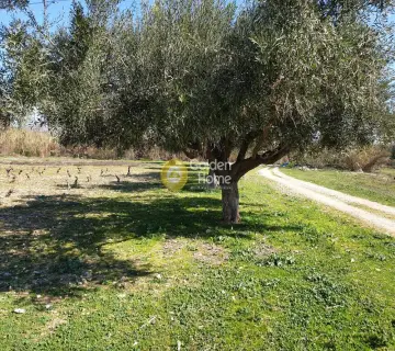 Residential 1500m<sup>2</sup> for sale photo 10