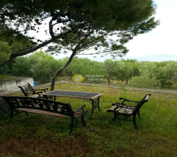 Οικιστικό 3800τ.μ. προς πώληση φωτογραφία 19