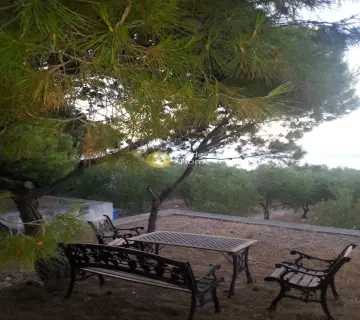 Οικιστικό 3800τ.μ. προς πώληση φωτογραφία 8