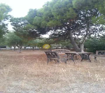 Οικιστικό 3800τ.μ. προς πώληση φωτογραφία 9