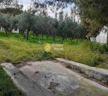 Οικιστικό 3800τ.μ. προς πώληση φωτογραφία 27