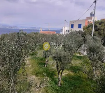 Οικιστικό 3800τ.μ. προς πώληση φωτογραφία 28