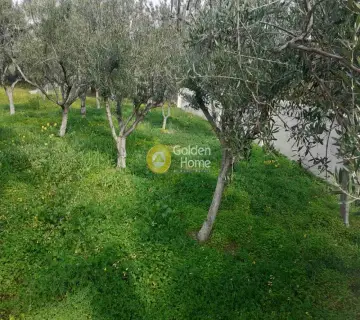 Οικιστικό 3800τ.μ. προς πώληση φωτογραφία 36
