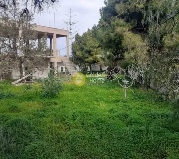 Οικιστικό 3800τ.μ. προς πώληση φωτογραφία 34