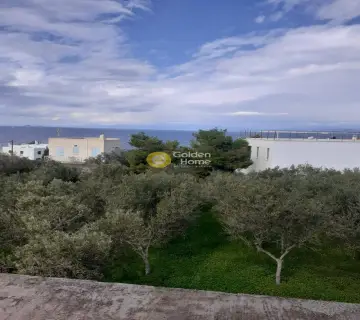 Οικιστικό 3800τ.μ. προς πώληση φωτογραφία 44